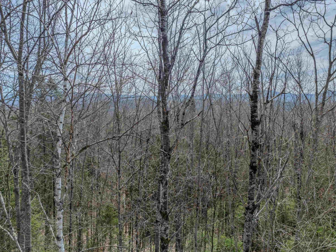 Photo of Lot 2 Mountain