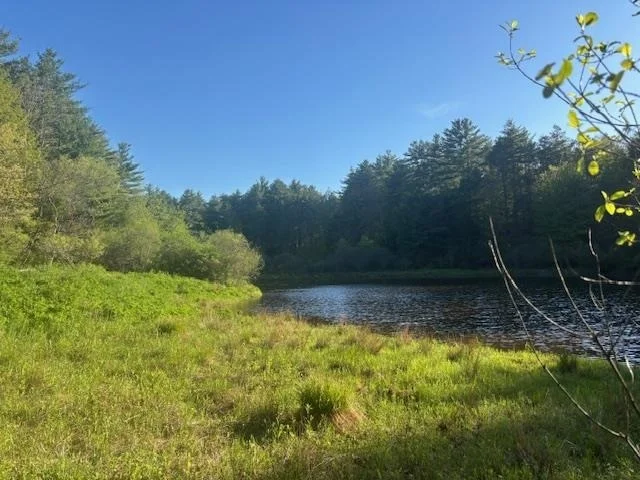 Photo of 12 Hemlock