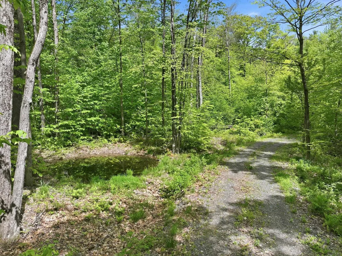 Photo of 189 Shagbark