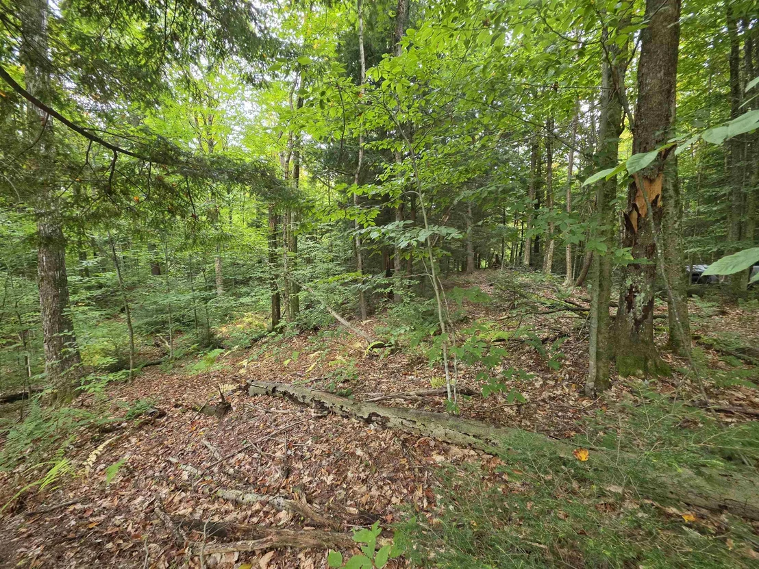 Photo of Lot#7 Woodland