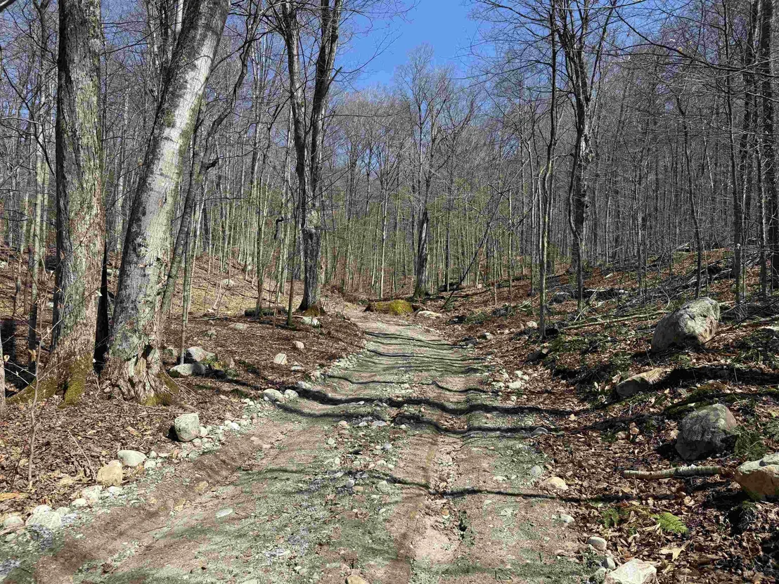 Photo of 0 Rocky