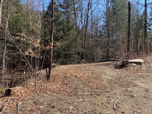 Photo of TBD VT Rt 100