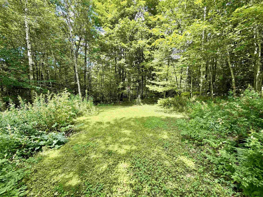 Photo of 36 Timber