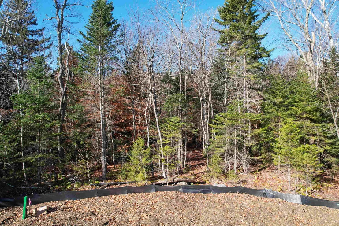 Photo of 81 Mirror Lake