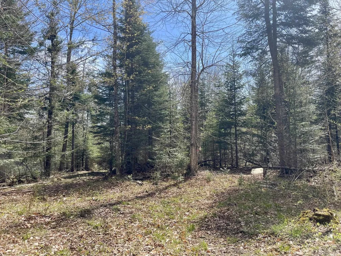 Photo of 00 Peene Hill