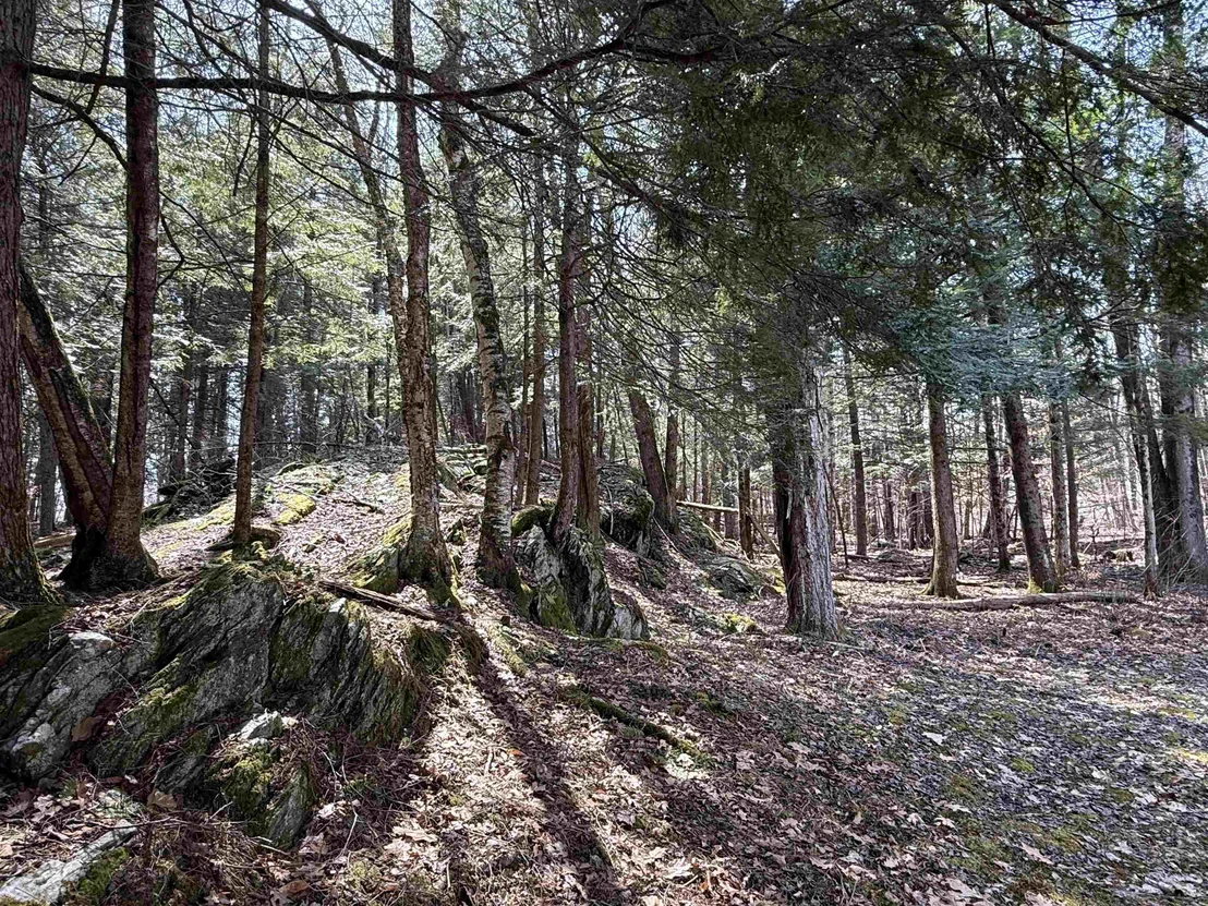 Photo of 74 Dutton District