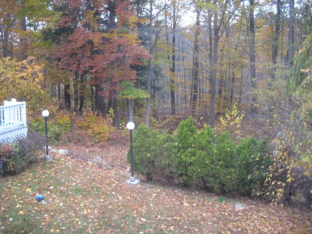 Photo of 68 Hampstead