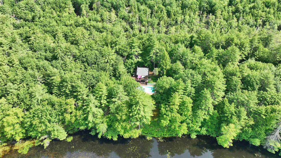 Photo of 261 Forest