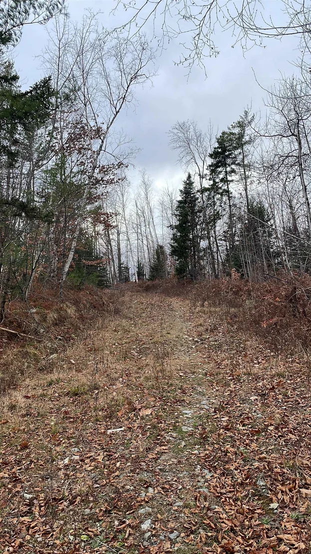 Photo of Unit LOT3 at 0 Oregon