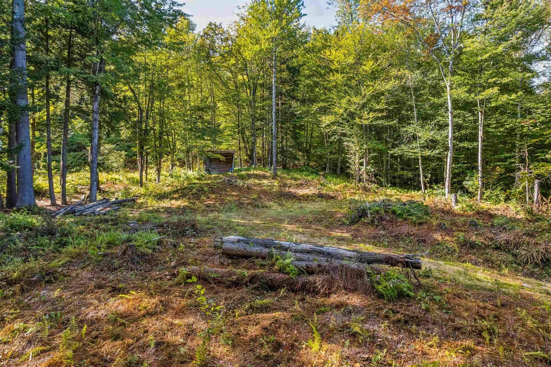 Photo of 664 Ranney