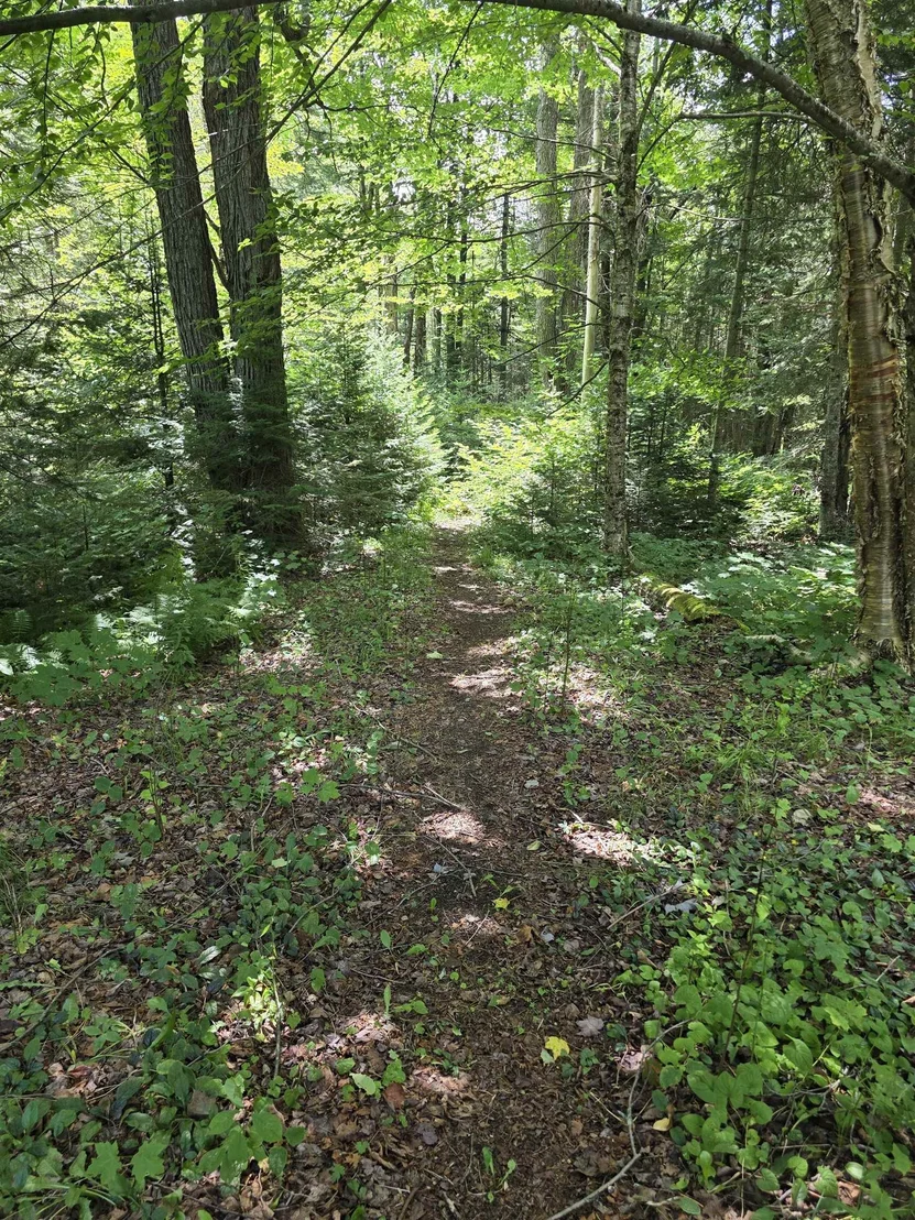 Photo of 2328 Gore