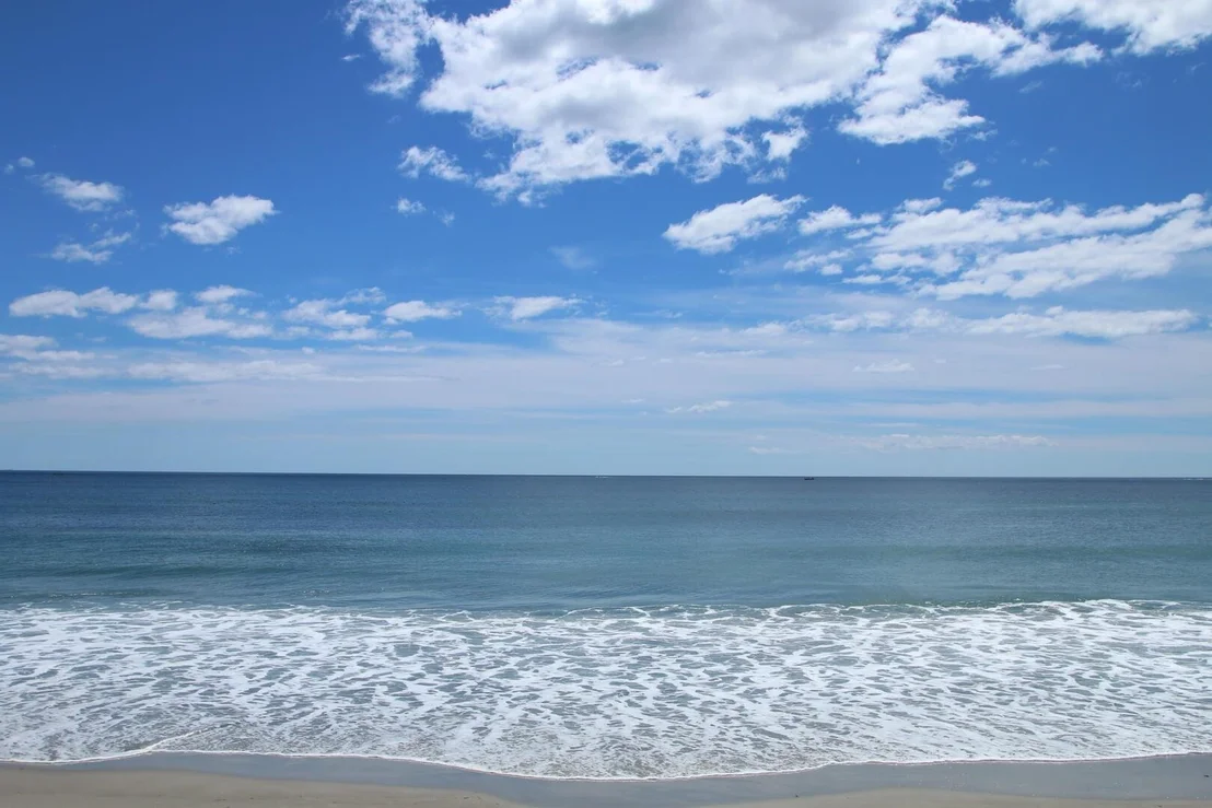 Photo of 99 OCEAN