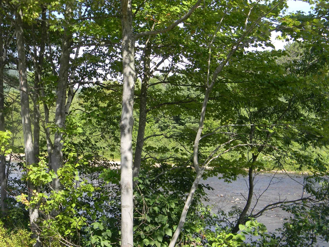 Photo of 422 New Hampshire Route 110