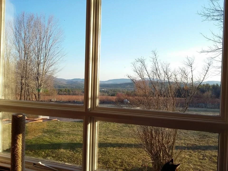 Photo of 11 Bryant