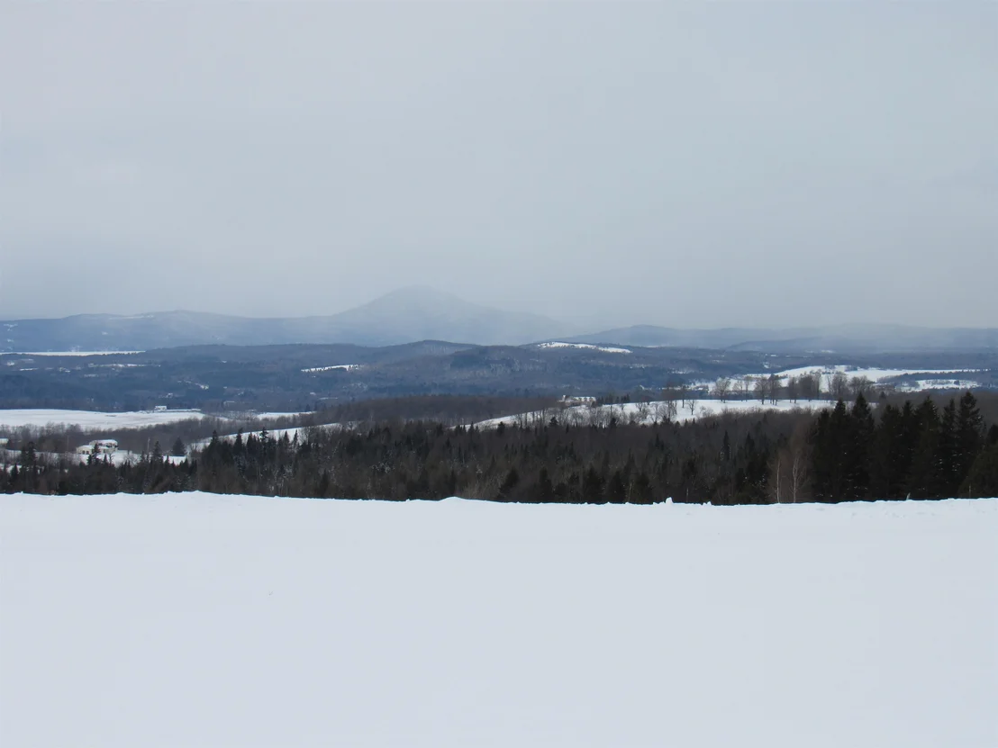 Photo of 2103 Herrick