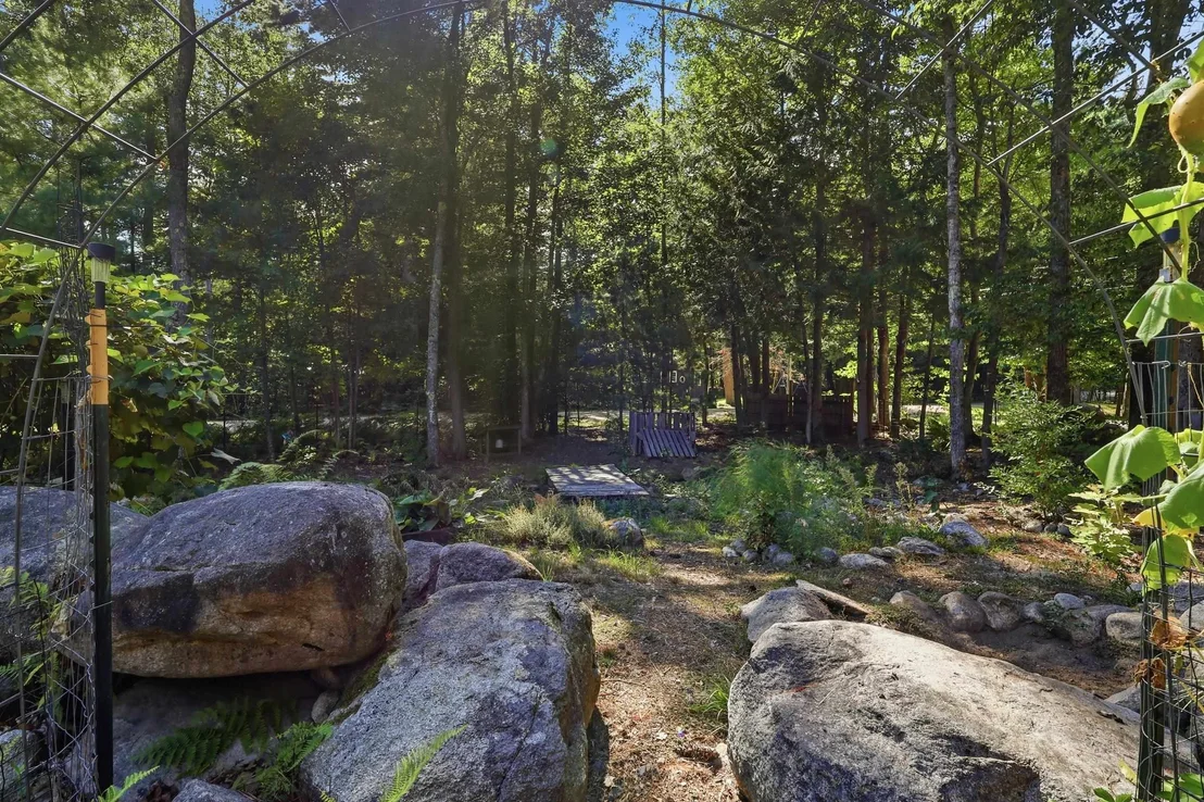 Photo of 12 Pine