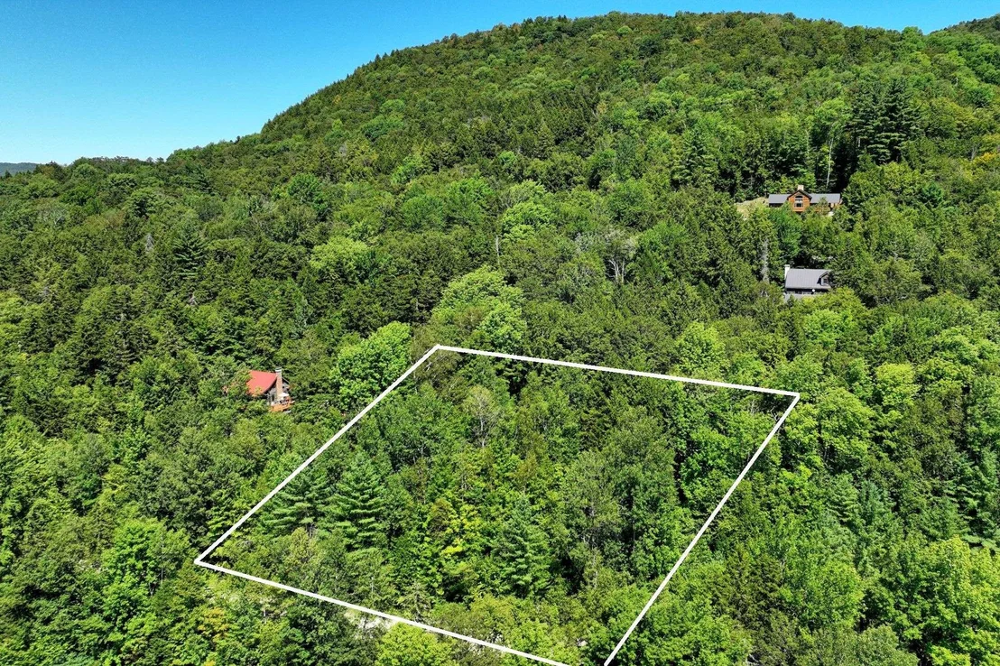 Photo of Lot 49 Spring