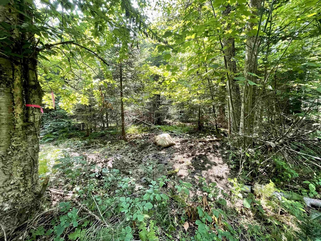 Photo of 00 Peene Hill