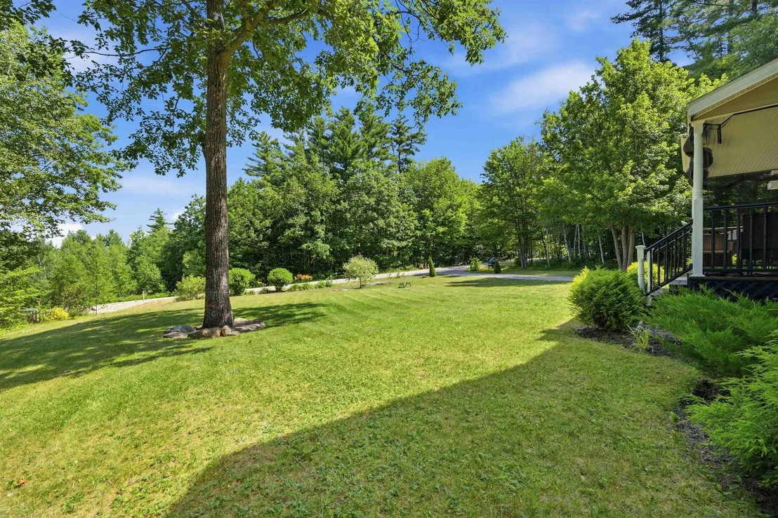 Photo of 15 Silver Dawn