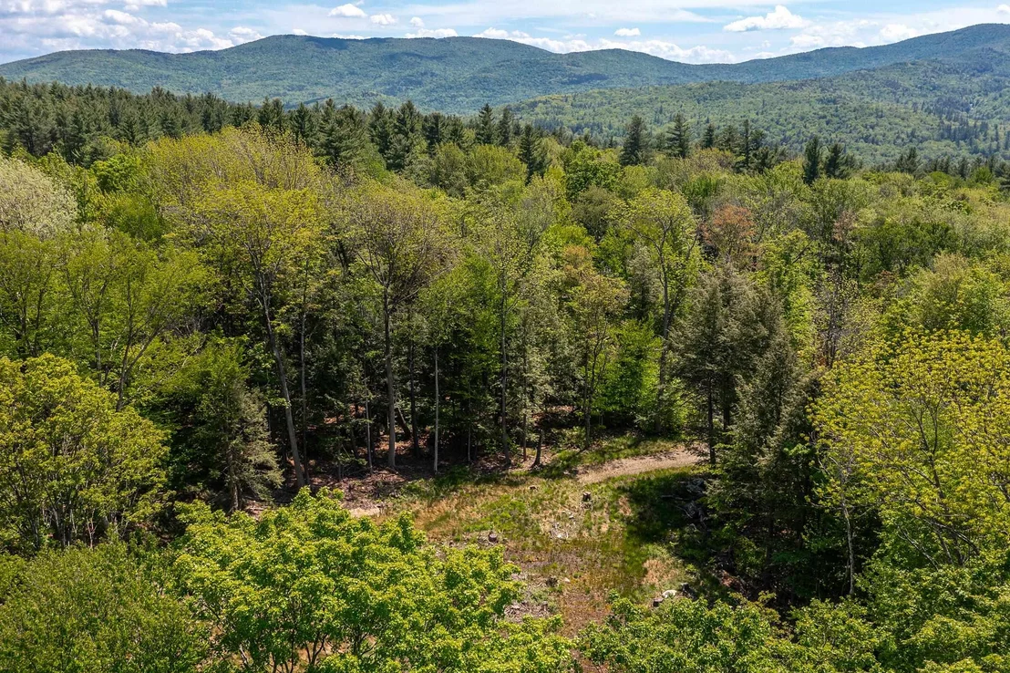 Photo of 585 Sawmill