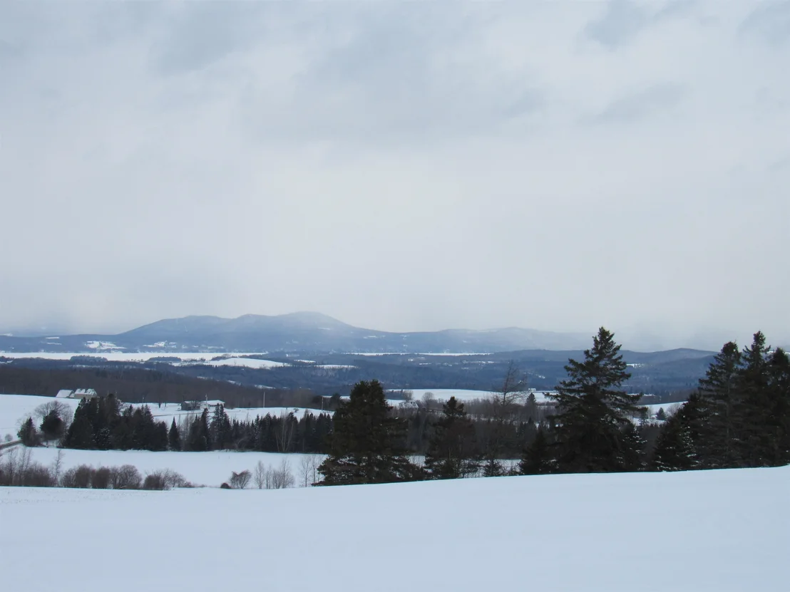 Photo of 2103 Herrick