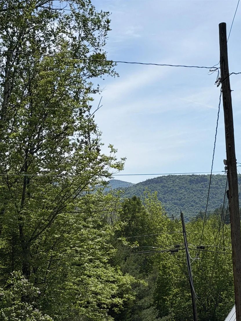 Photo of 7 Pine