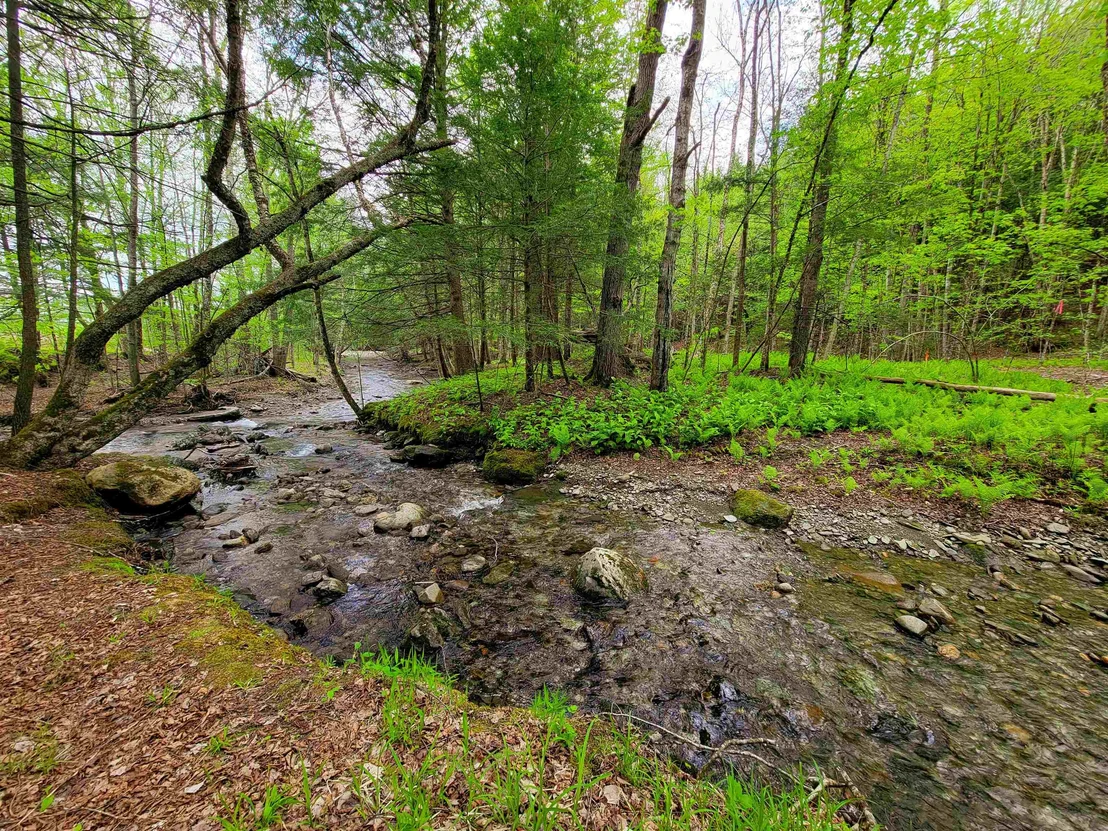 Photo of 167 High Meadow