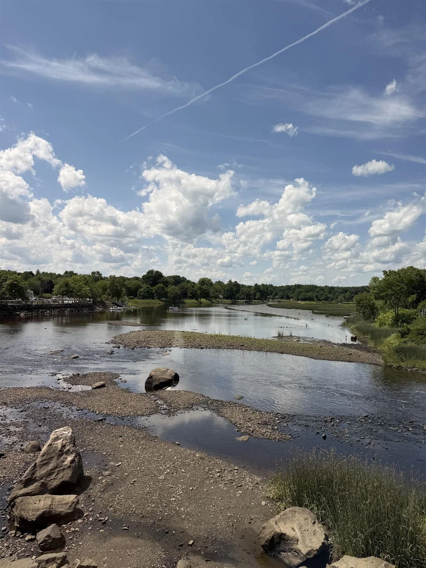 Photo of 10 String Bridge