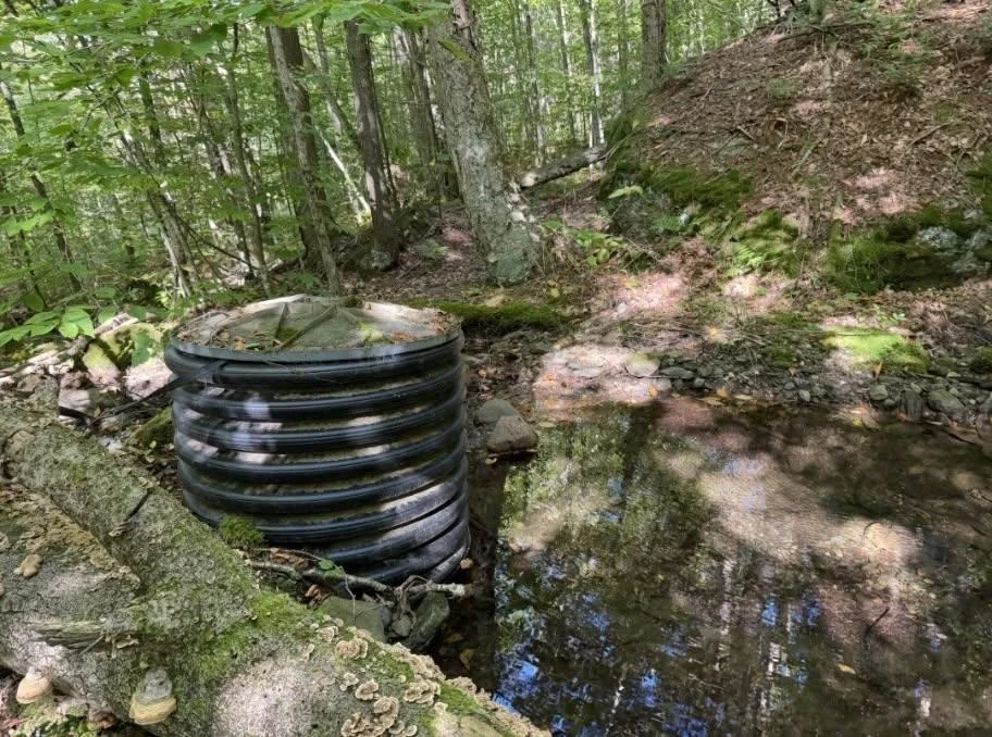 Photo of 689 Black Falls