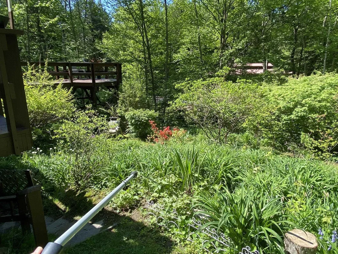 Photo of 985 Chapel Hill