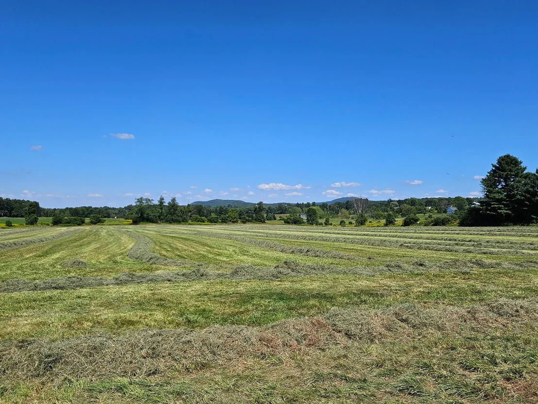Photo of Lot 2 Plains