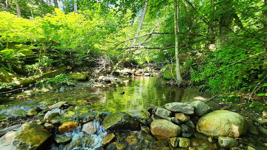 Photo of 1372 Potash Brook