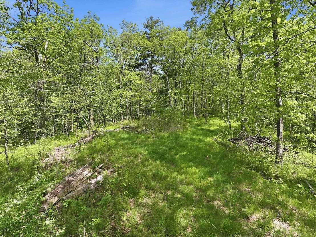 Photo of 189 Shagbark