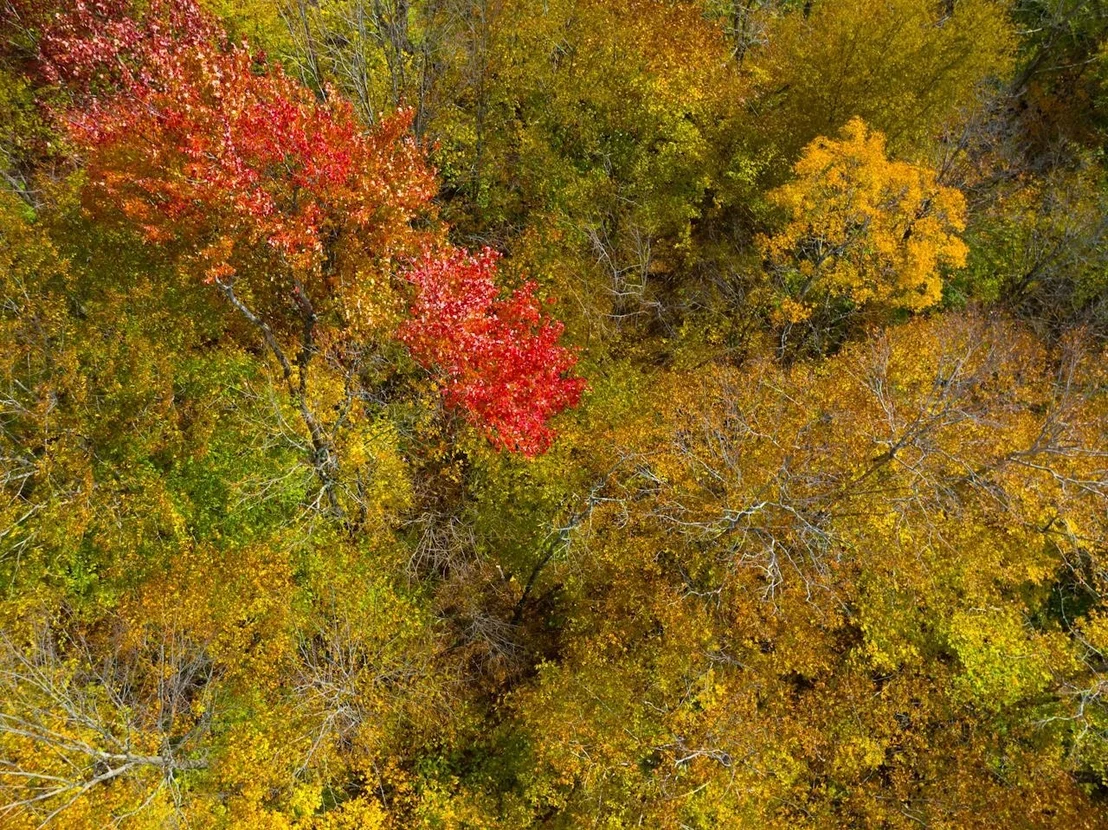 Photo of 0 Cider Mountain