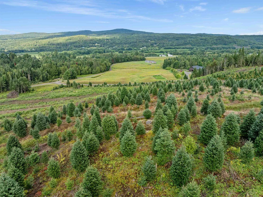 Photo of - Capon Brook