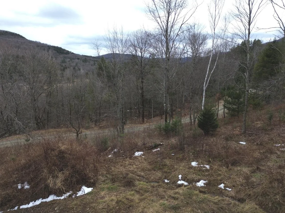 Photo of Unit 3 at 00 Bent Birch
