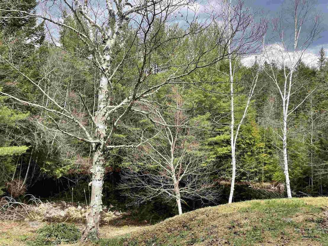 Photo of 335 Hide and Seek