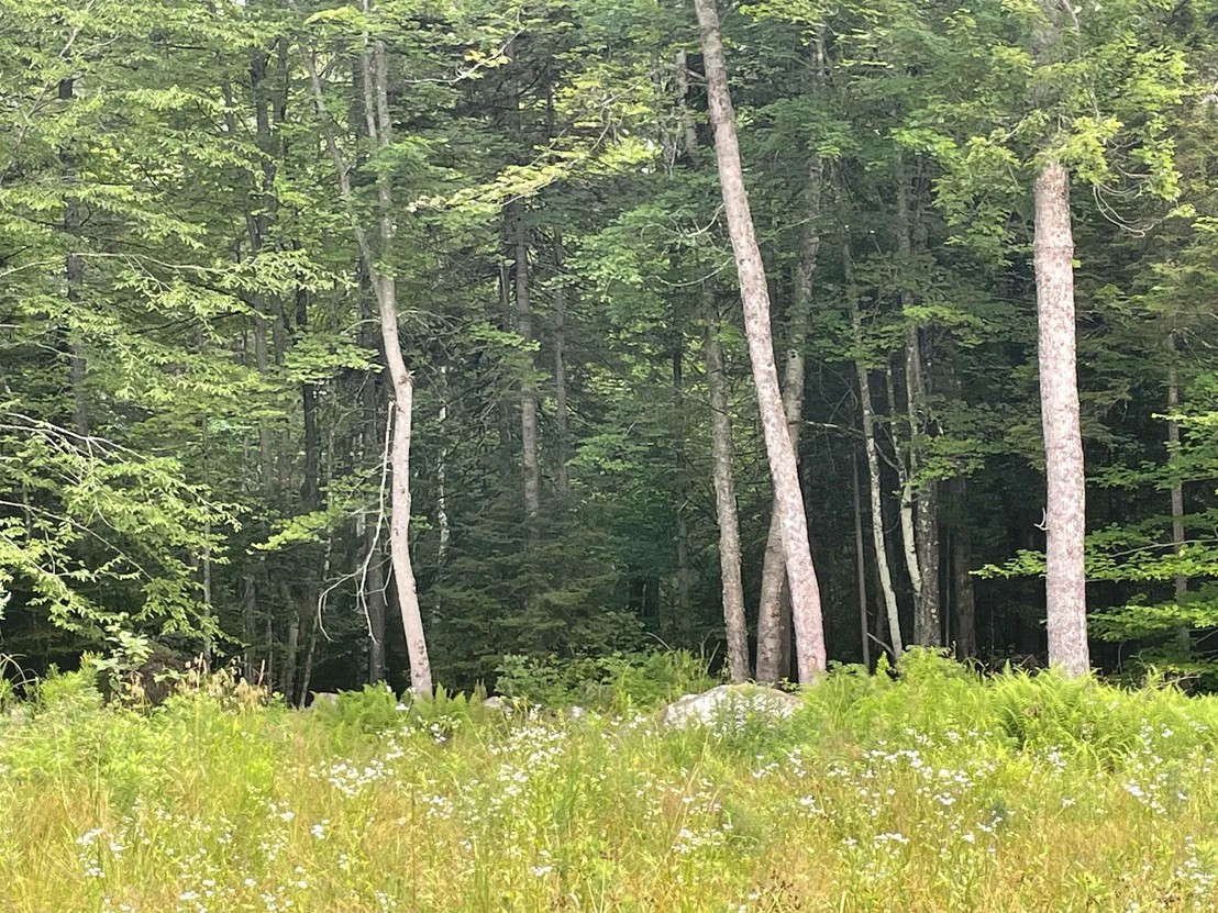 Photo of 130 Stevens