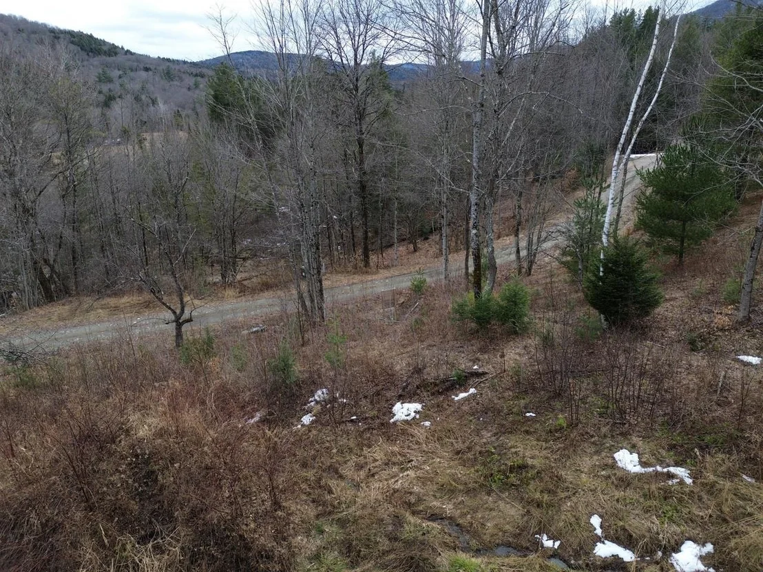 Photo of Unit 3 at 00 Bent Birch