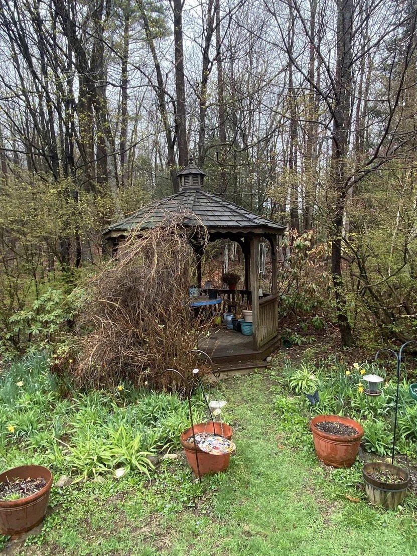 Photo of 985 Chapel Hill