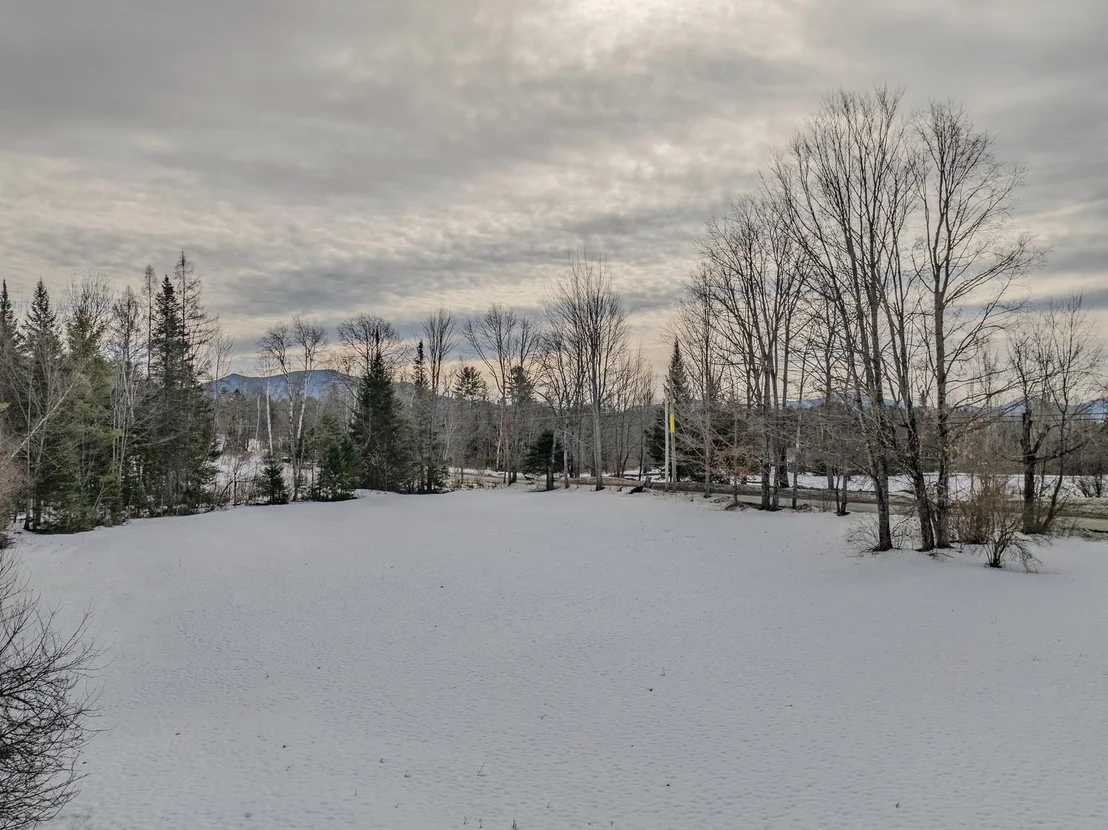 Photo of 249 Mountain View