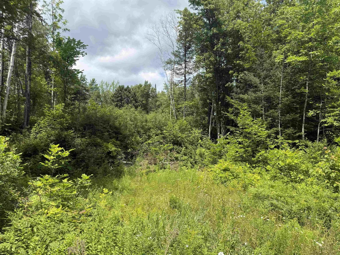 Photo of Lot 5 VT Route 102