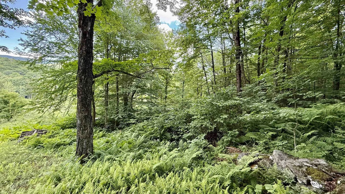 Photo of 2075 Codding Hollow