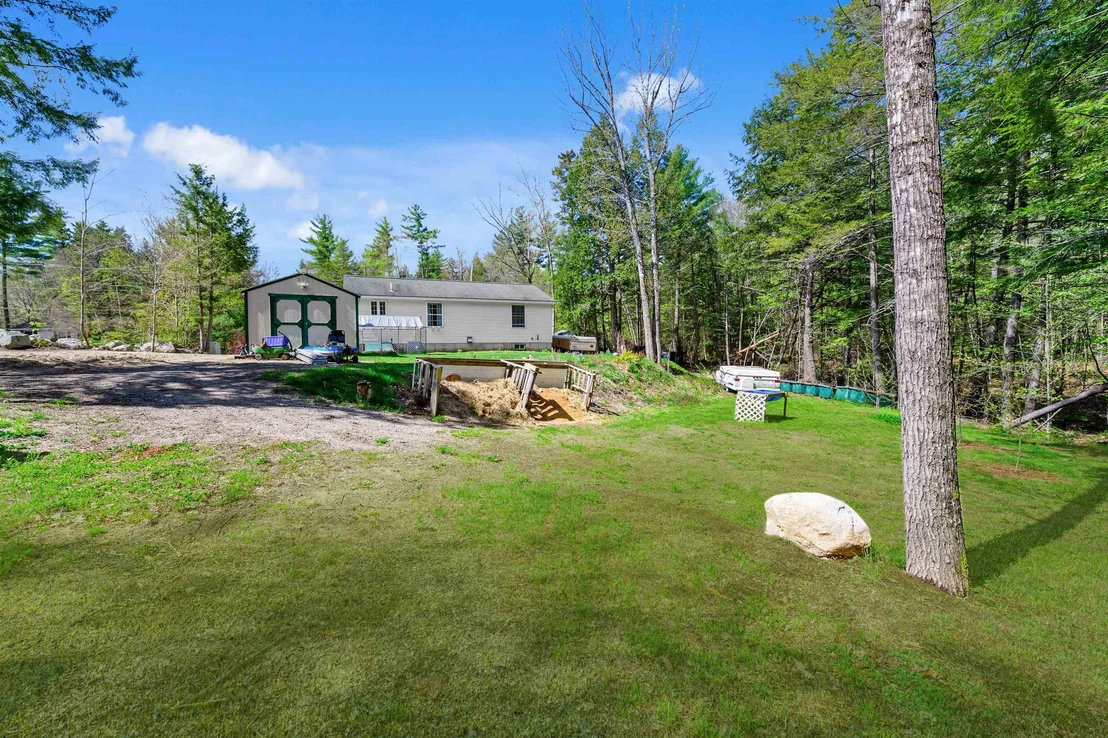 Photo of 26 Birch Tree