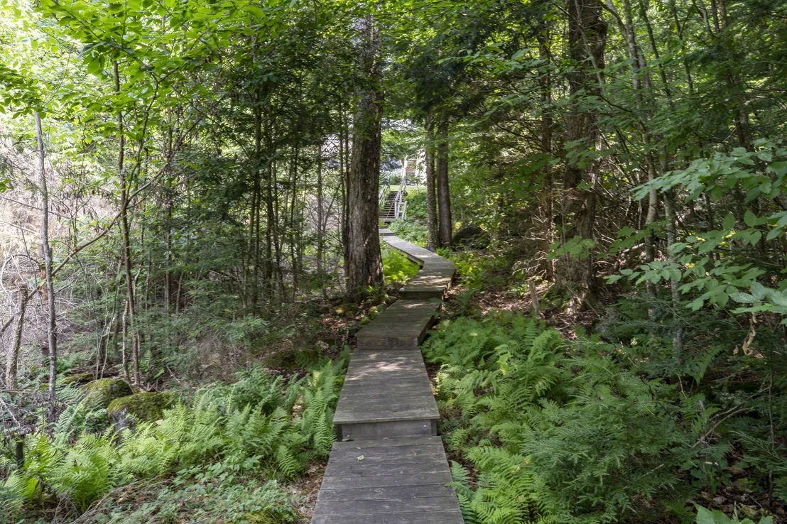 Photo of 96 Fox Run