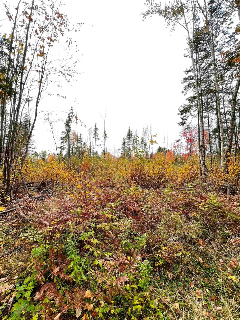 Photo of 408-105 Evergreen