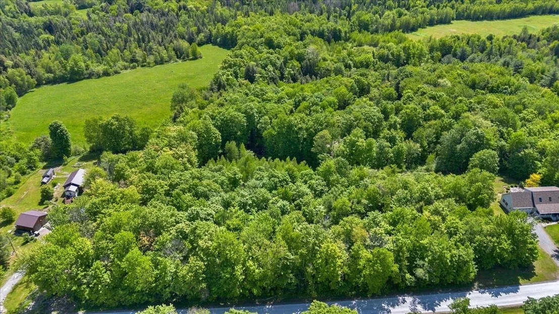 Photo of Lot 2 Pion