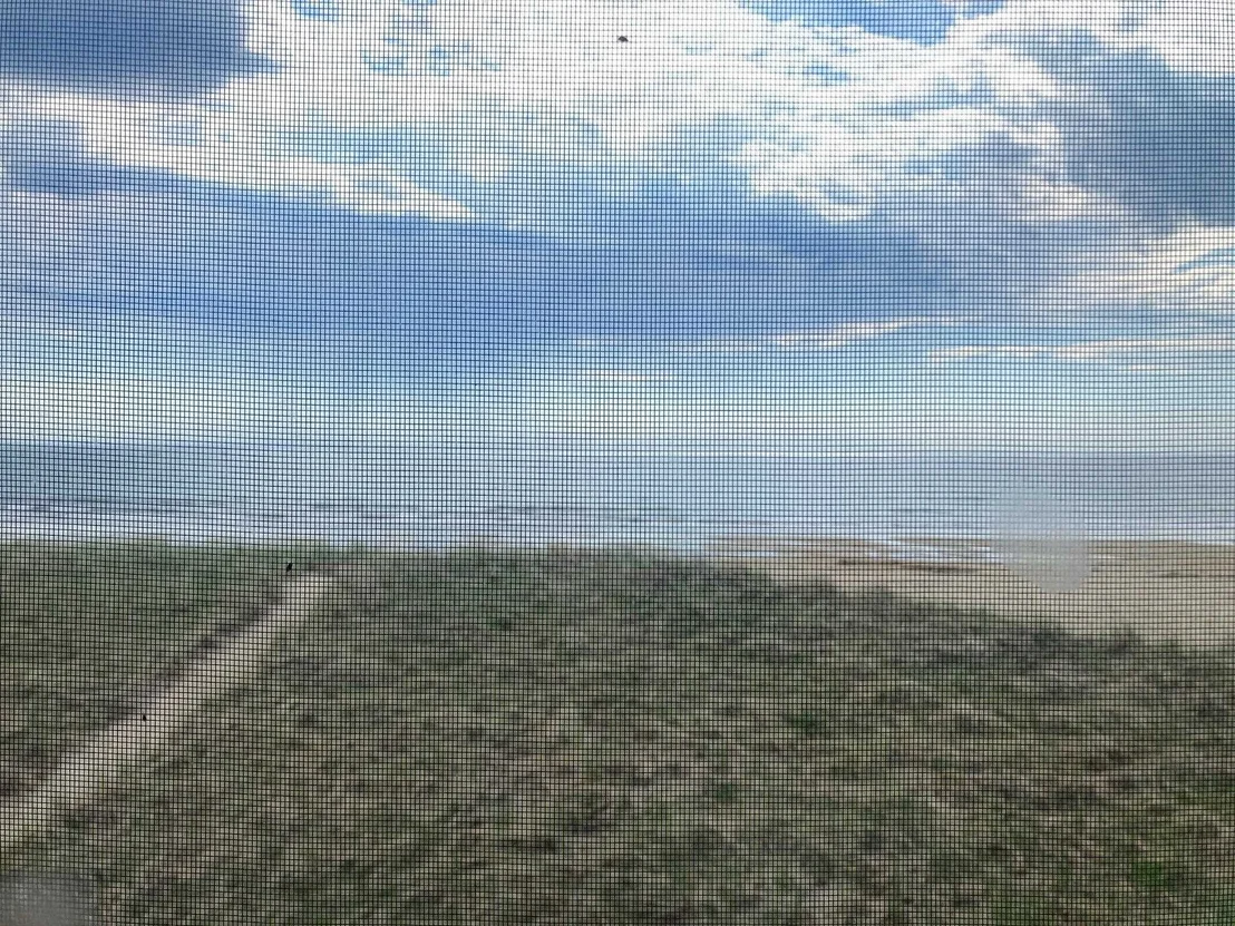 Photo of 99 OCEAN
