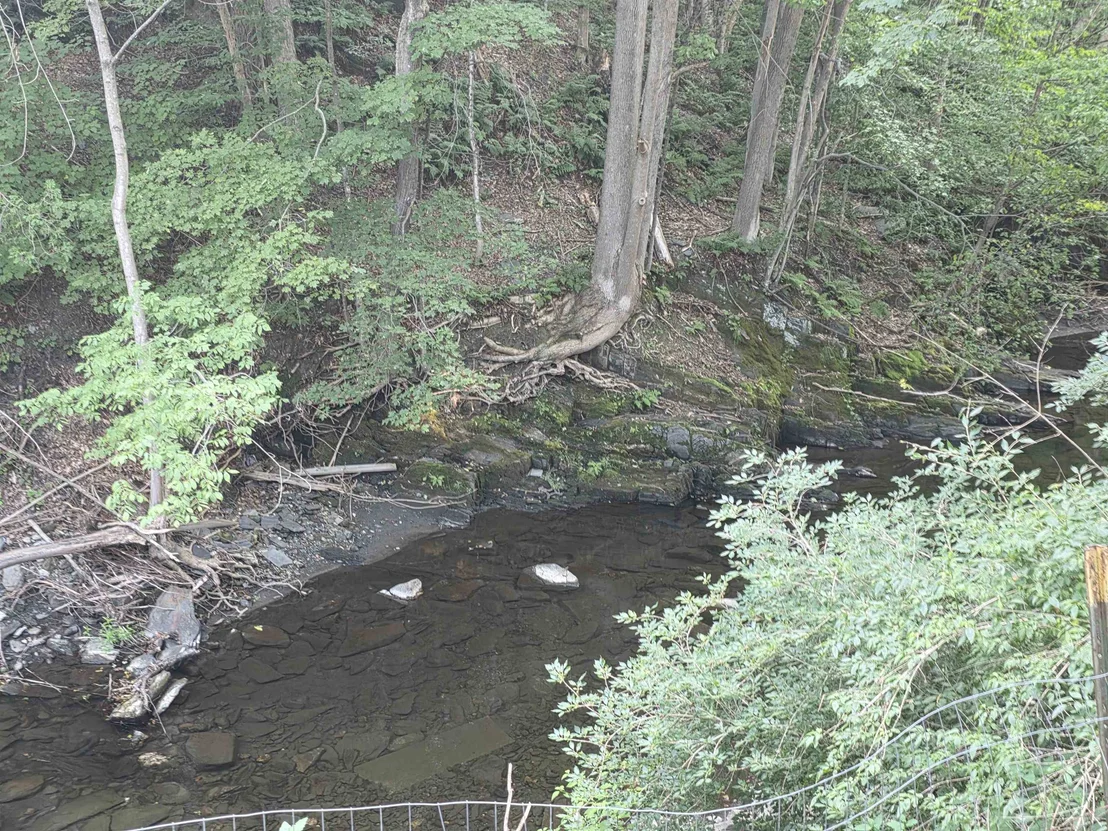 Photo of 1272 Route 12s