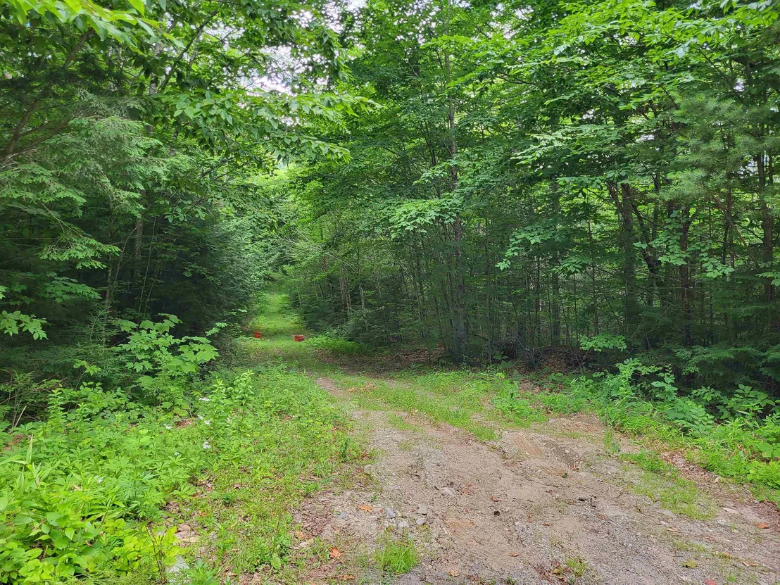 Photo of Lot 2 Bear Mountain